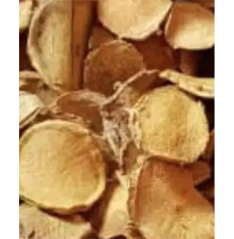Curcuma